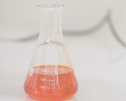 The Environmental DNA Lab at IE University